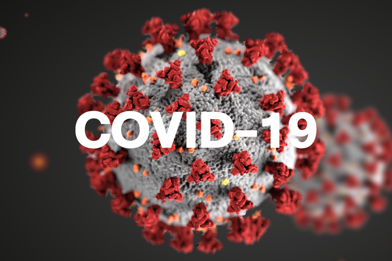 Can an ancient herb protect against COVID-19 infection?