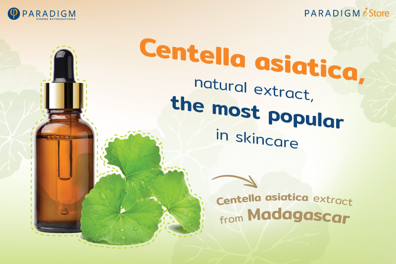 Centella asiatica, natural extract, the most popular in skincare